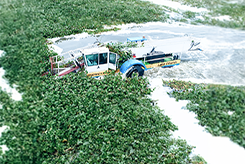 aquatic weed harvester