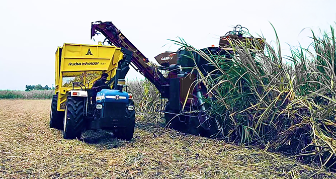 sugarcane loader